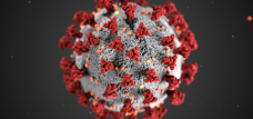 Image of corona virus
